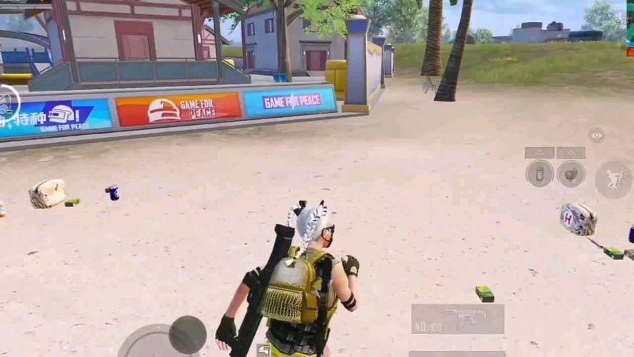 和平精英辅助【雪花直装V6.0】透视自瞄 人物加速 车辆加速 显示名字